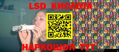 гашик Новокубанск