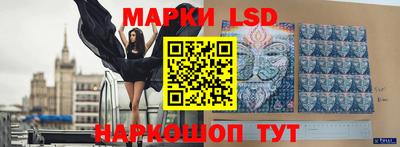 гашик Новокубанск