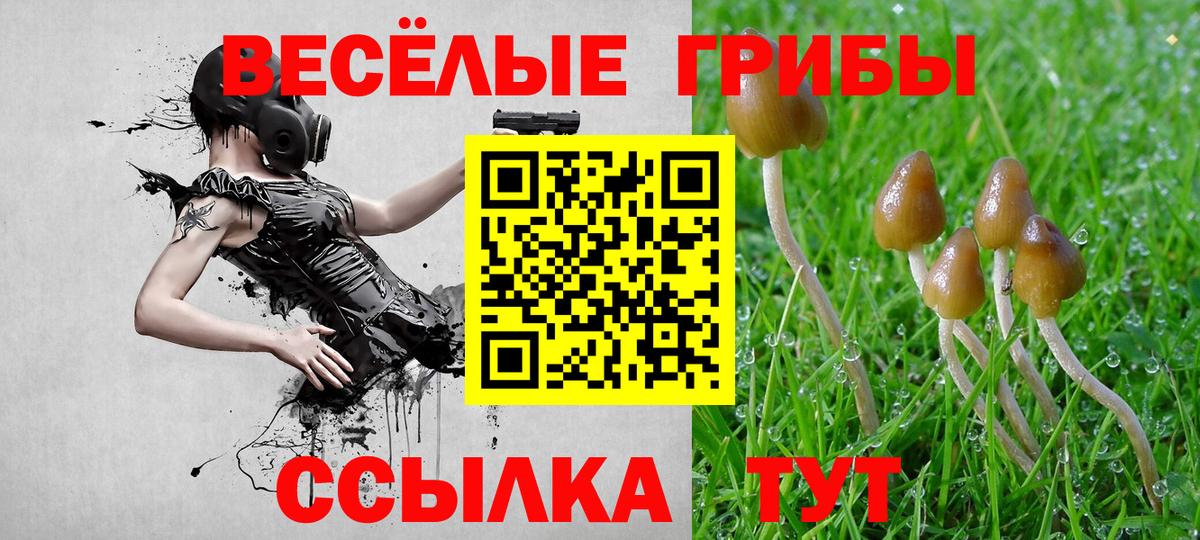 Псилоцибиновые грибы Cubensis Реутов