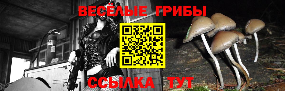 Галлюциногенные грибы Magic Shrooms  Вход с VPN  Реутов 
